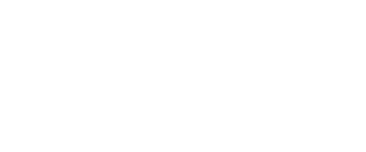 Wordpress Logo